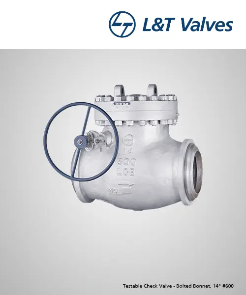 Check Valve
