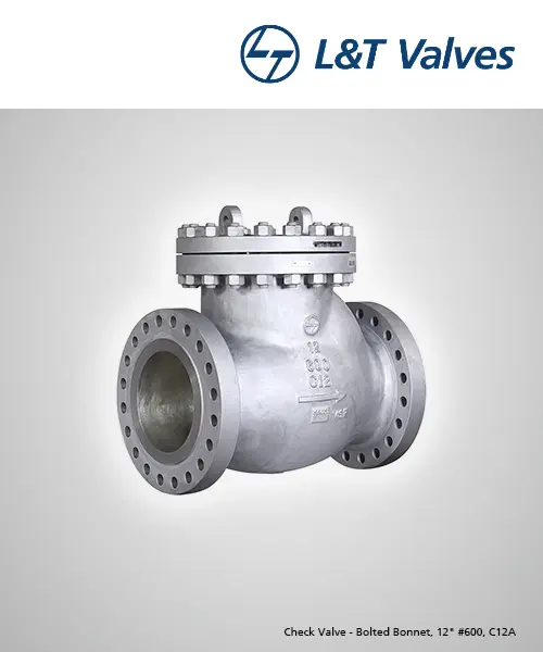 12" Class 600 Check Valve