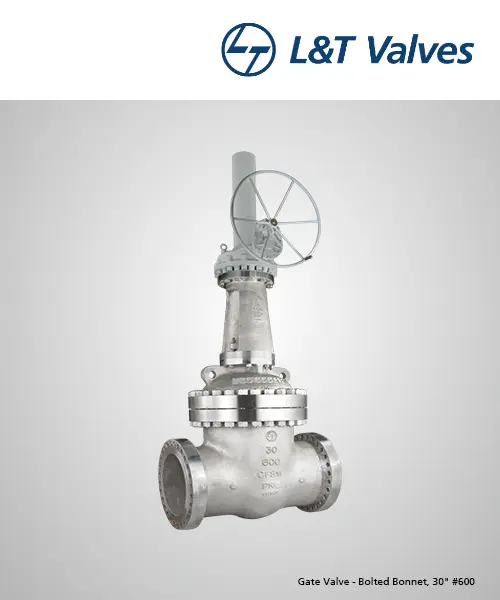  Gate Valve CF8M