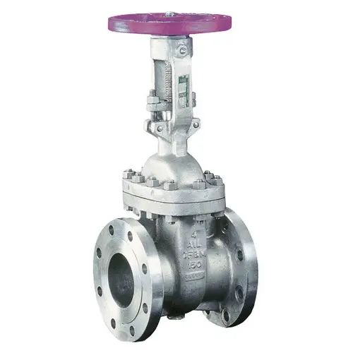 Audco Gate Valve