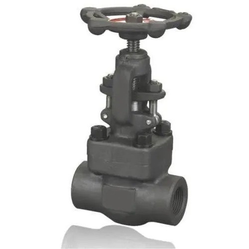 ZOLOTO Forged Steel Globe Valve