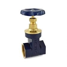 ZOLOTO Bronze Globe Valve (Screwed) ISI Marked