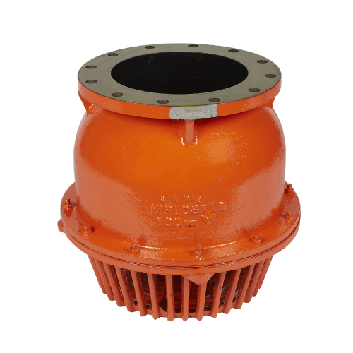 Swing Type Cast Iron Foot Valve